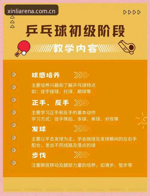 新利体育使用教程官方下载全面评测：从入门到精通的完整指南