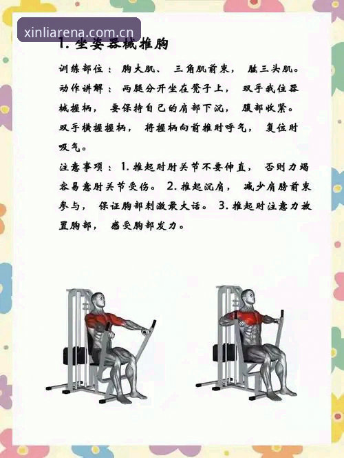 新利体育好用吗功能详解 新利体育好用吗功能详解:从新手到高手的完整使用指南